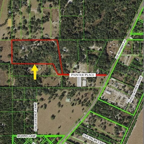 20231 PAINTER PLACE SPRING HILL, FL 34610