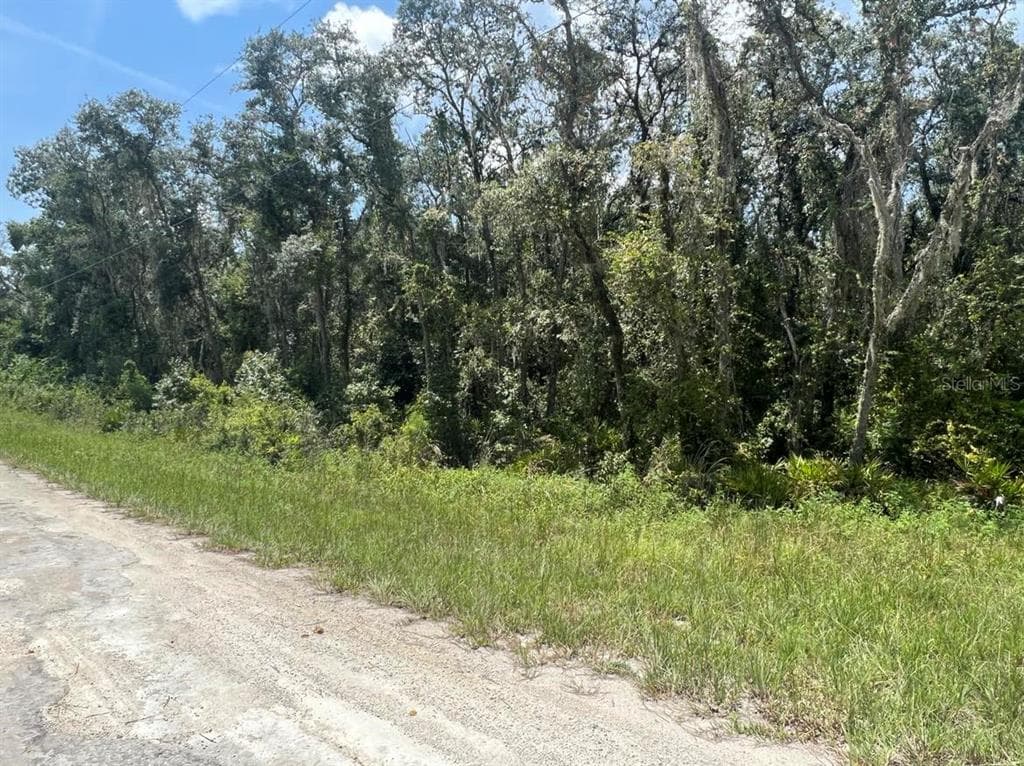 33071 SMALLMAN STREET WEBSTER, FL 33597