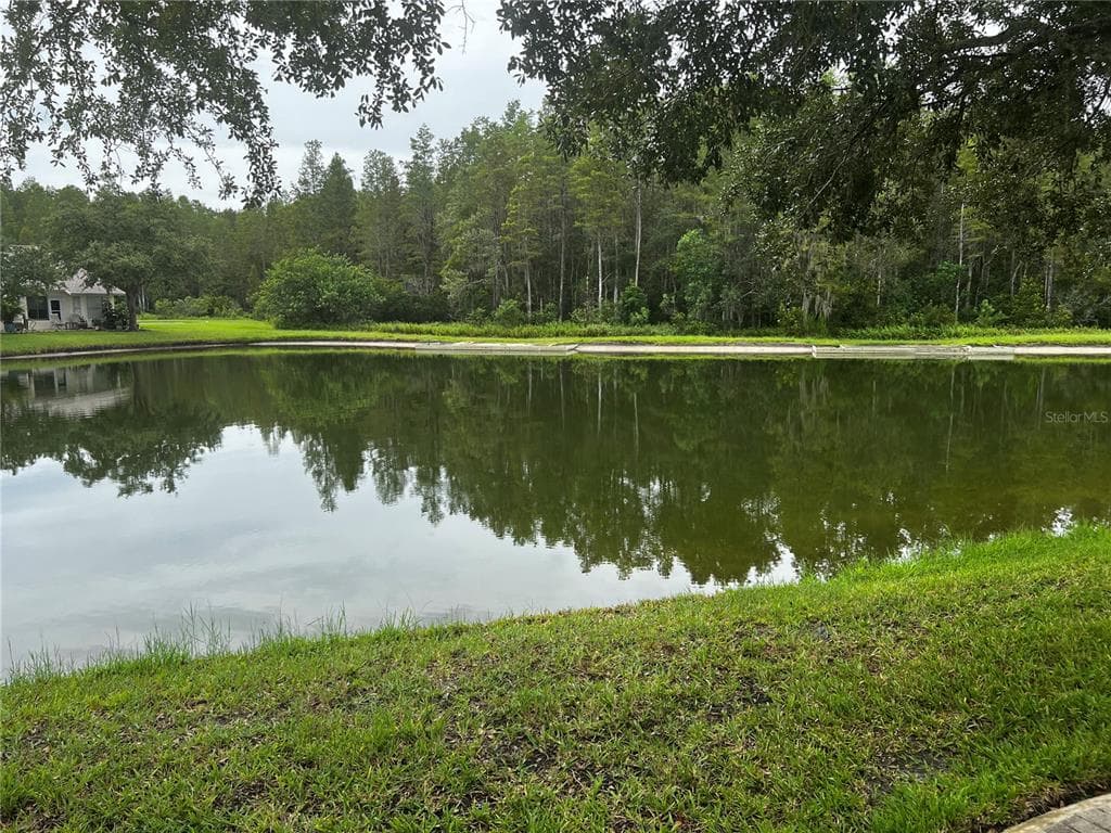 1044 FLORA VISTA STREET TRINITY, FL 34655