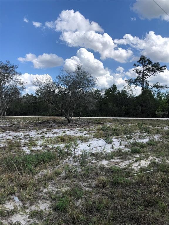 491 HOBBS DRIVE VENUS, FL 33960