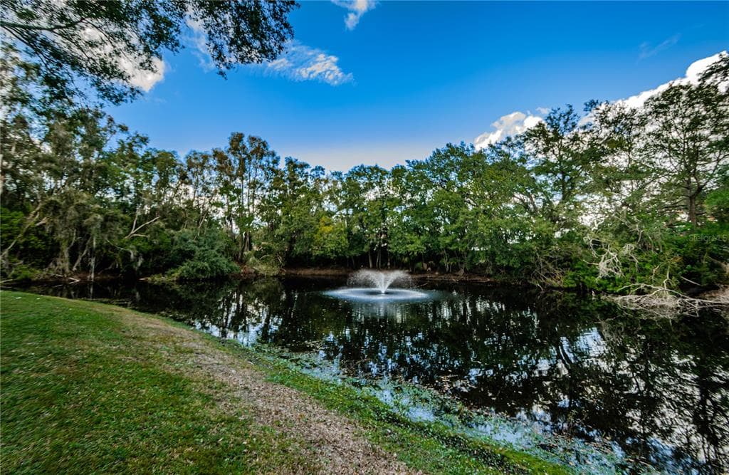 14008 N BOULEVARD TAMPA, FL 33613