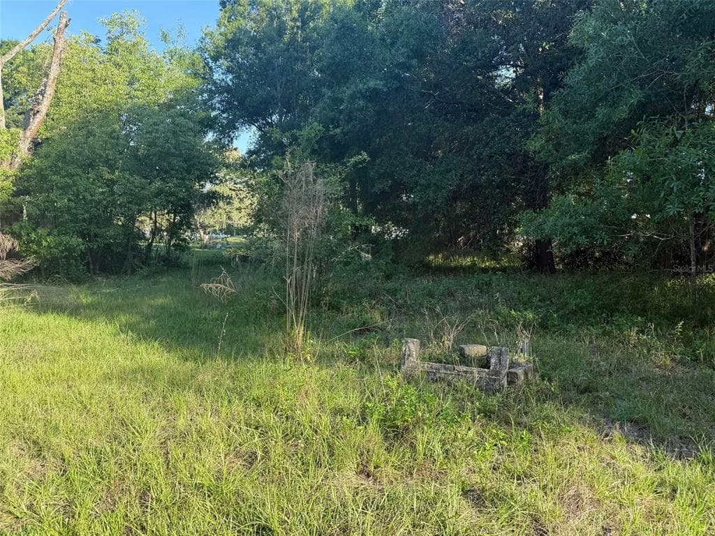 7106 SKY DRIVE WESLEY CHAPEL, FL 33545