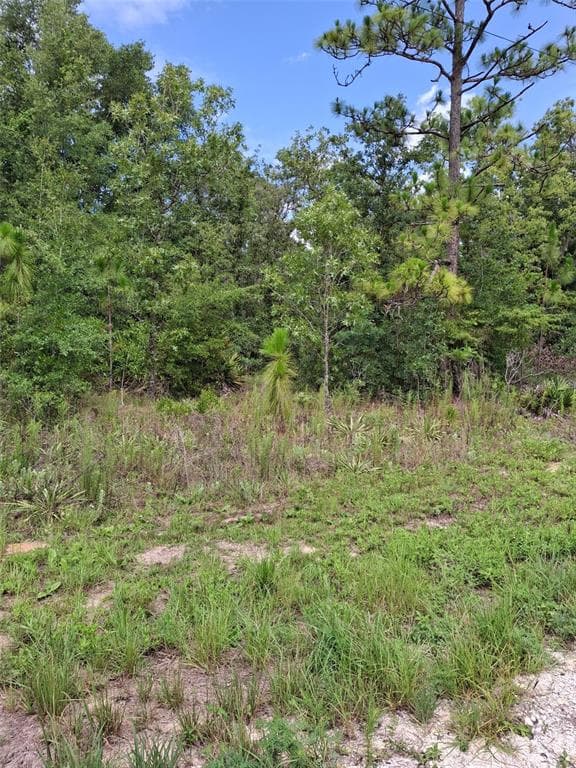 Lot 7 CRABAPPLE ROAD WEEKI WACHEE, FL 34614