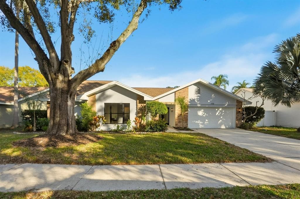1110 WOODCREST AVENUE SAFETY HARBOR, FL 34695