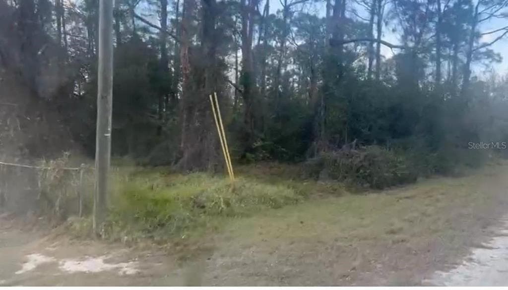 311 WILSON LANE NE LAKE PLACID, FL 33852