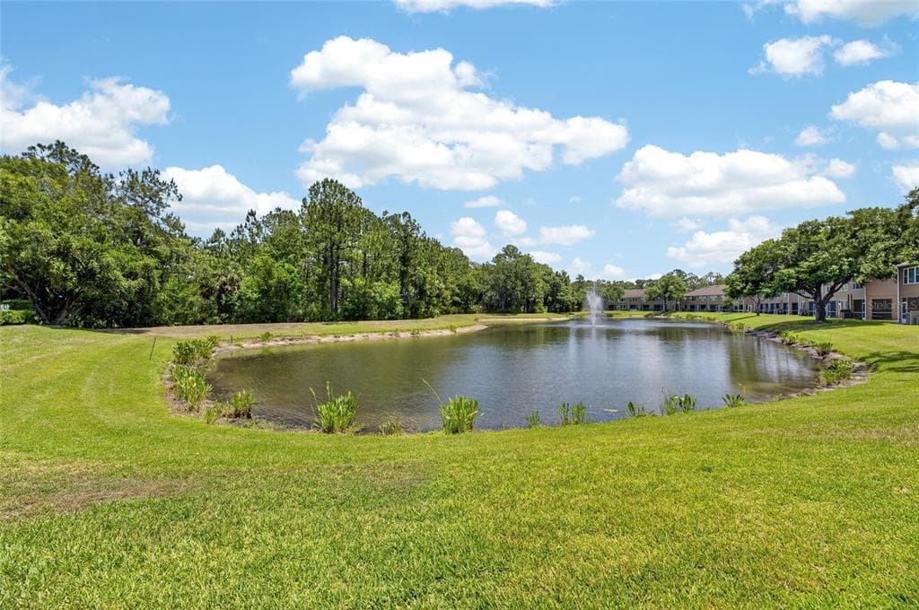 18947 DUQUESNE DRIVE TAMPA, FL 33647