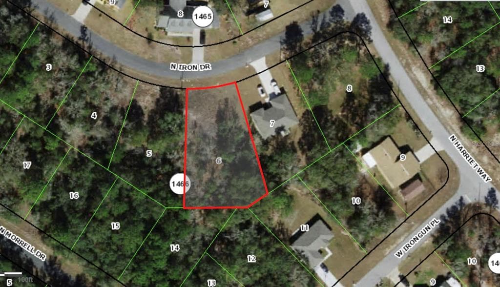 11060 N IRON DRIVE CITRUS SPRINGS, FL 34434