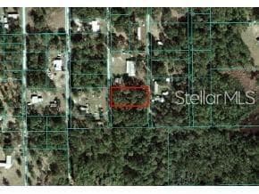 NE 141ST TERRACE FORT MC COY, FL 32134